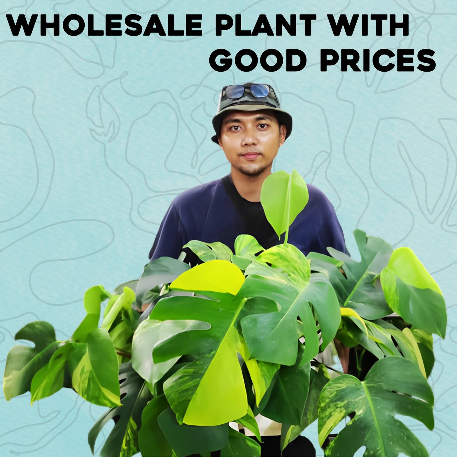 Wholesale with Good prices - Yume Gardens Indonesia