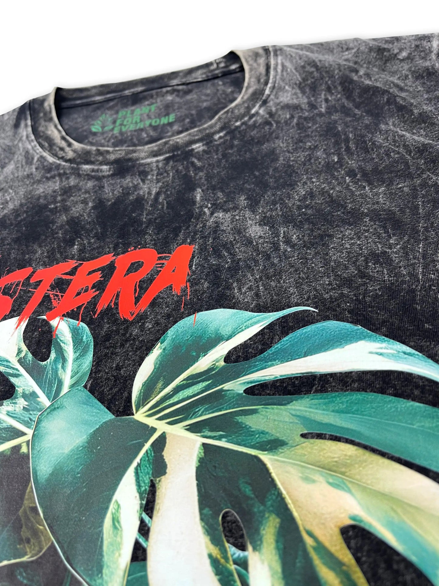 Monstera Plant T - Shirt Monster Version - Yume Gardens Indonesia