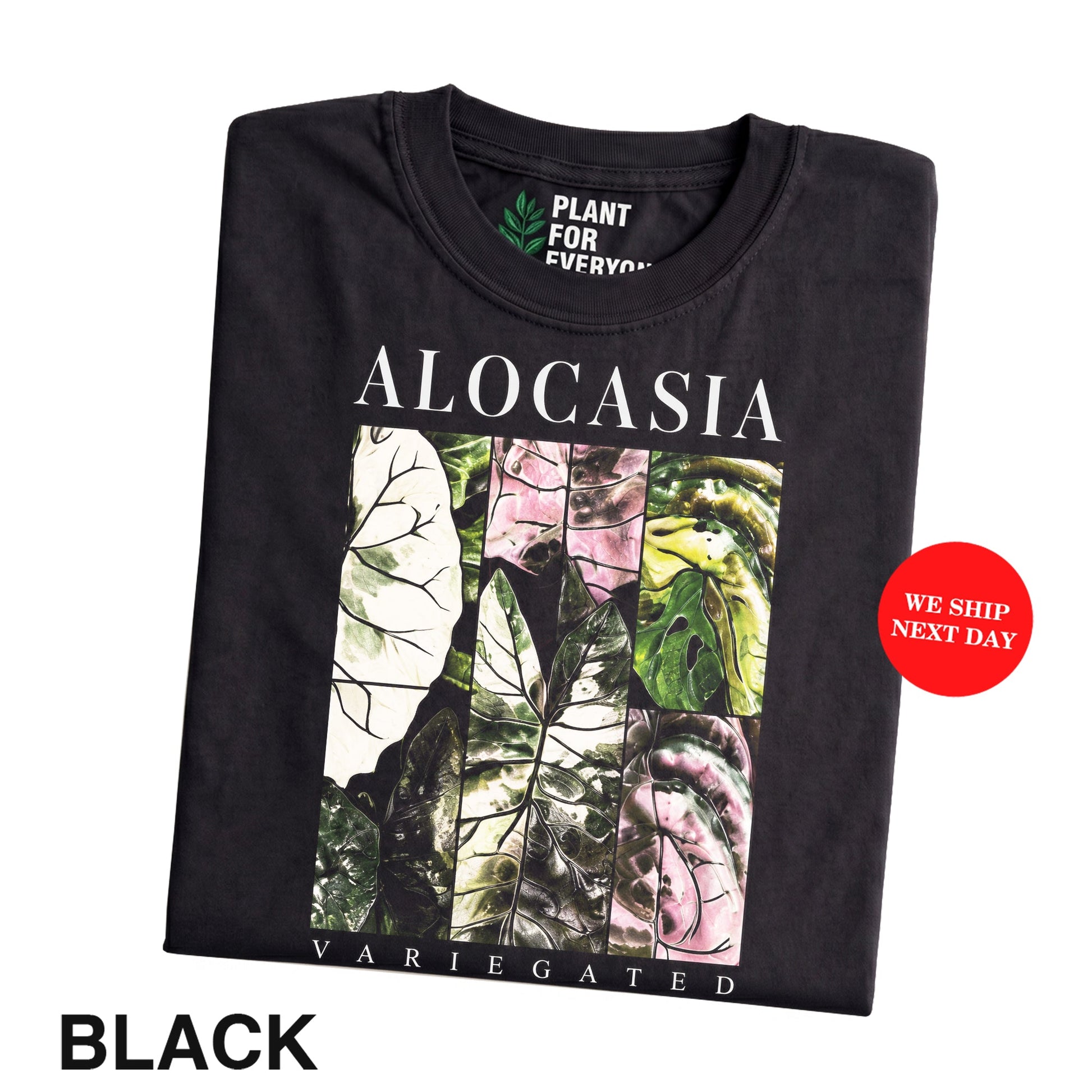 Plant Lover Shirt, Alocasia Variegated Botanical Tee By Yume Garden - Yume Gardens Indonesia