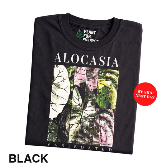 Plant Lover Shirt, Alocasia Variegated Botanical Tee By Yume Garden - Yume Gardens Indonesia