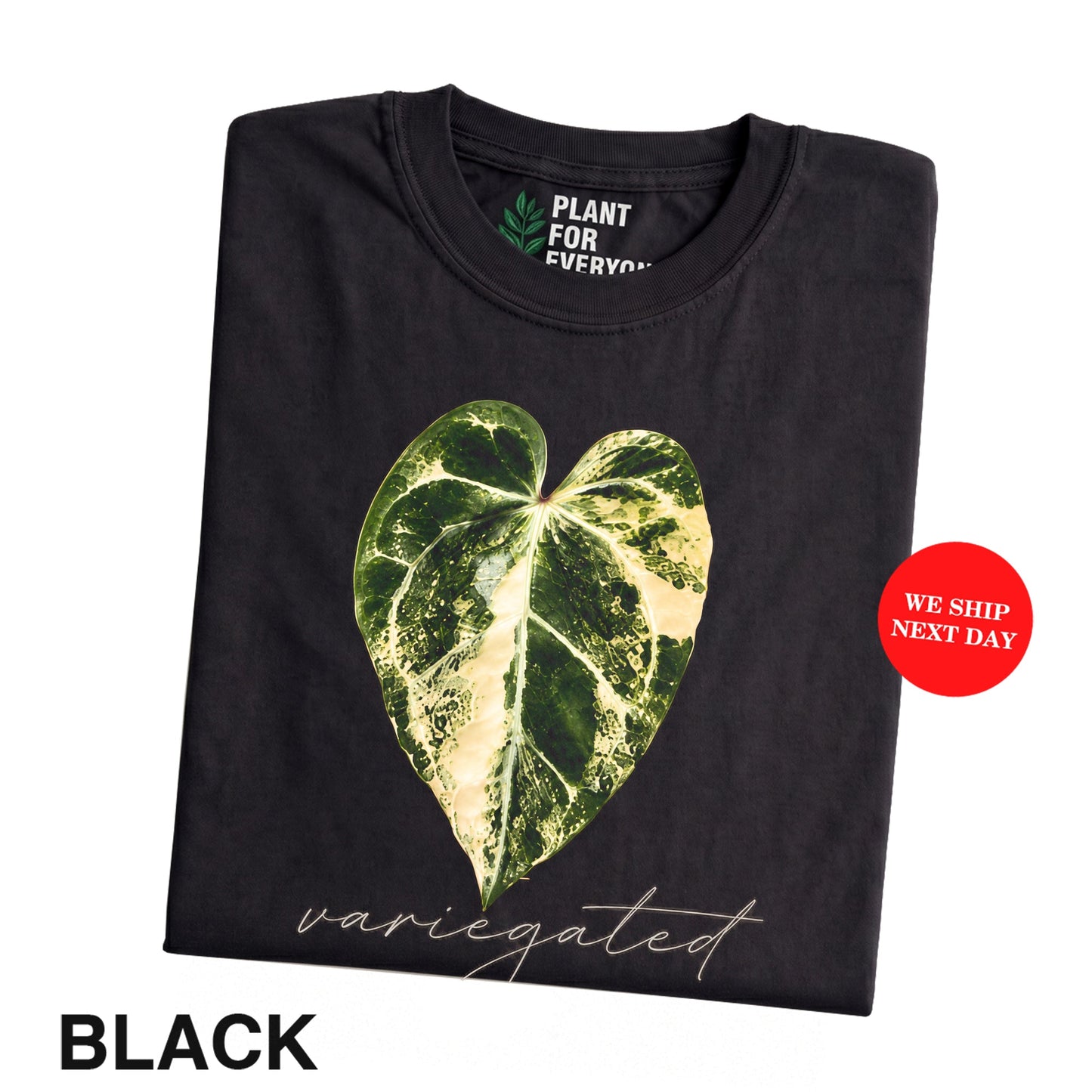 Plant Lover Shirt, Variegated Anthurium Botanical T-Shirt for Houseplant Lovers - Yume Garden - Yume Gardens Indonesia