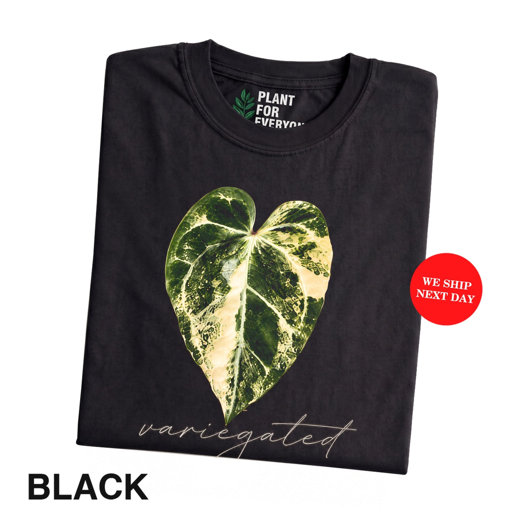 Plant Lover Shirt, Variegated Anthurium Botanical T-Shirt for Houseplant Lovers - Yume Garden - Yume Gardens Indonesia