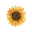 Yume Garden logo